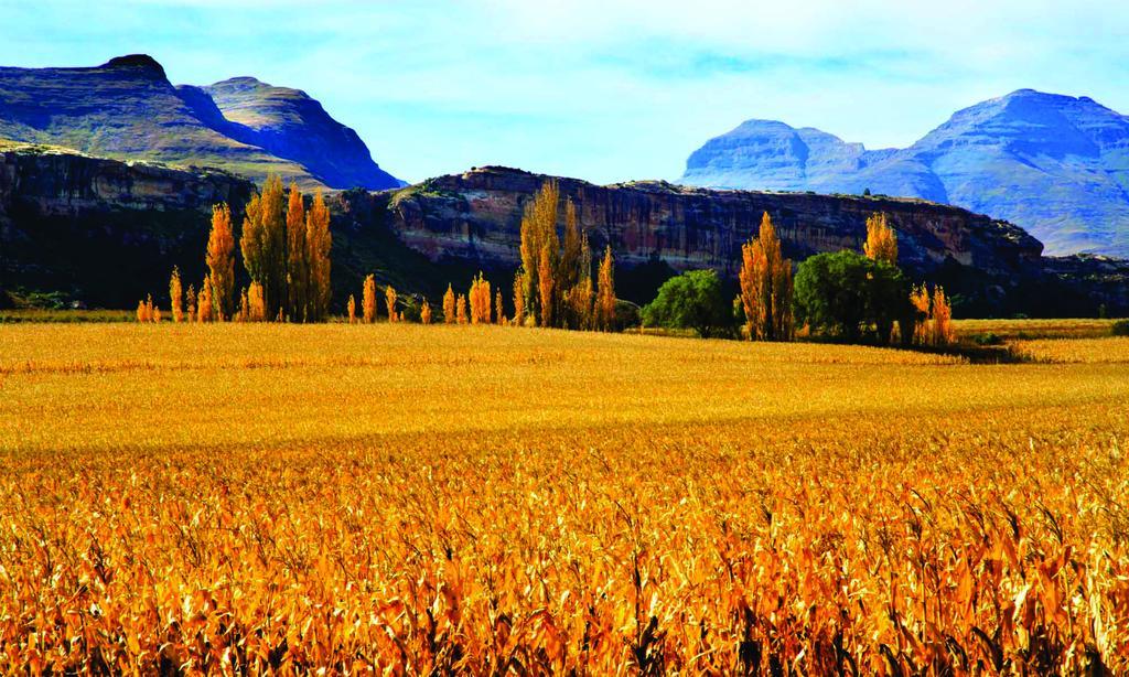Lola'S Self Catering Accommodation Clarens Exterior foto